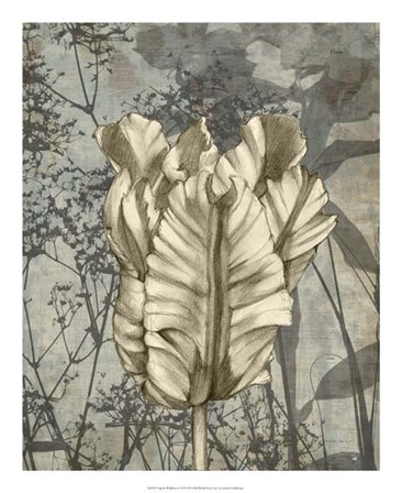 Tulip &amp; Wildflowers VII by Jennifer Goldberger art print