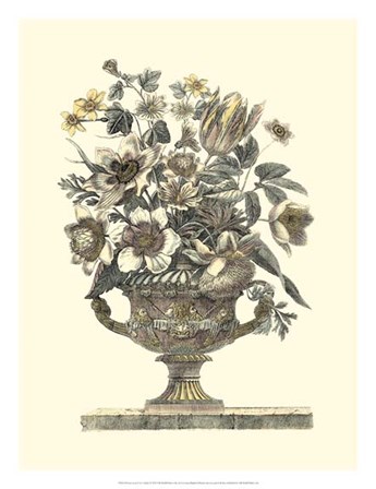 Flowers in an Urn I (Sepia) by Piranesi / Roy art print