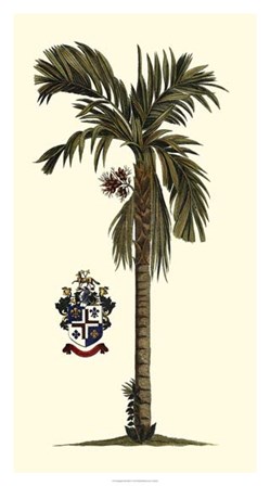 Elongated Exotic Palm II art print