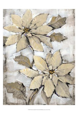 Poinsettia Study II by Timothy O&#39;Toole art print