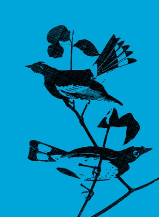 Starlings by George Dilorenzo art print