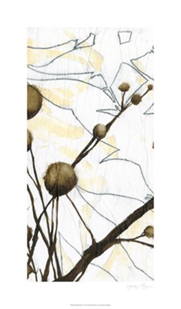 Willow Blooms I by Jennifer Goldberger art print