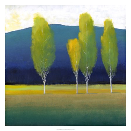 Glowing Trees I by Timothy O&#39;Toole art print