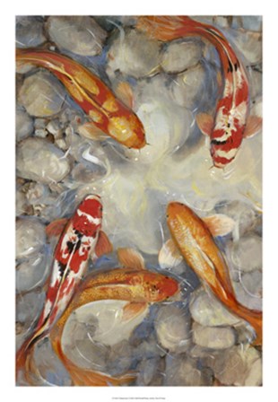 Vibrant Koi I by Timothy O&#39;Toole art print