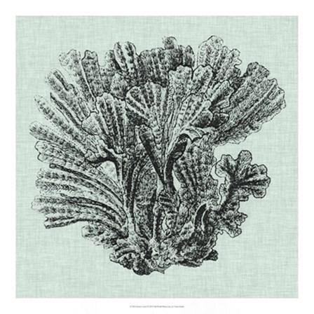 Serene Coral I by Vision Studio art print