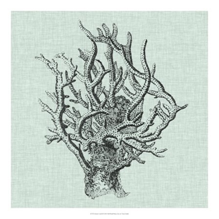 Serene Coral II by Vision Studio art print