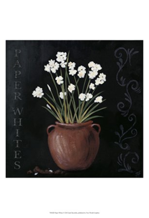 Paper Whites by Jade Reynolds art print