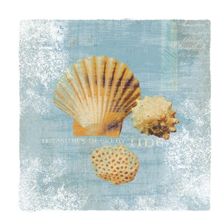 Tidal Treasures by Wild Apple Portfolio art print