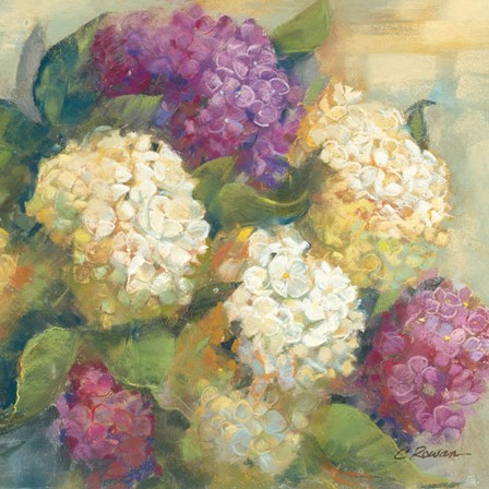 Hydrangea Delight II by Carol Rowan art print