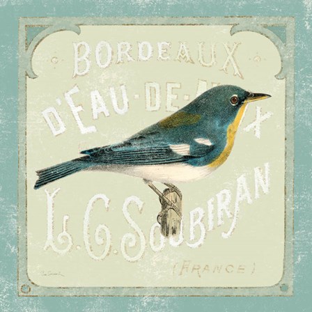 Parisian Bird I by Sue Schlabach art print