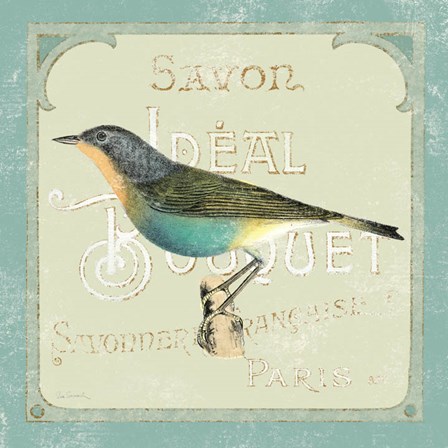 Parisian Bird II by Sue Schlabach art print