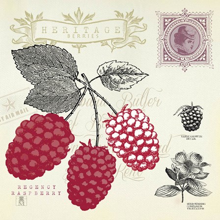 Raspberry Notes by Studio Mousseau art print
