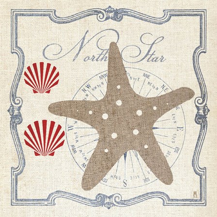 Pacific Starfish by Studio Mousseau art print