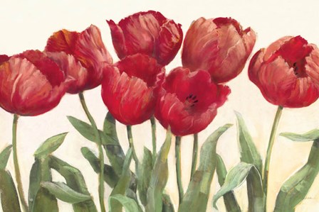 Ruby Tulips by Carol Rowan art print