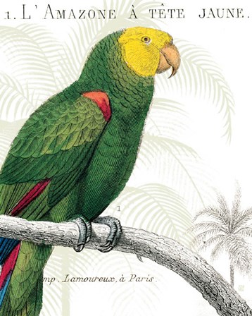 Parrot Botanique I by Wild Apple Portfolio art print