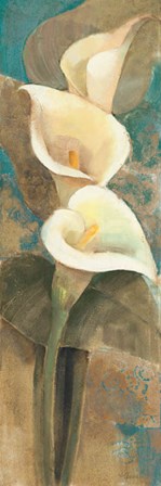 Calla Lily Trio Panel by Albena Hristova art print