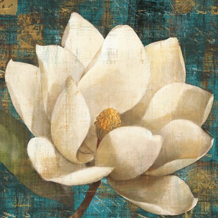 Magnolia Blossom Turquoise by Albena Hristova art print