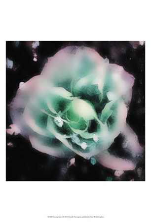 Evening Rose I by Danielle Harrington art print