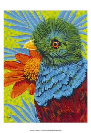 Bird in the Tropics II by Carolee Vitaletti art print