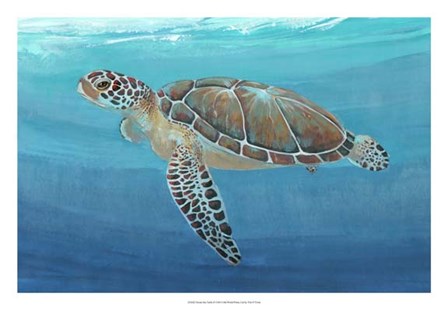 Ocean Sea Turtle II by Timothy O&#39;Toole art print