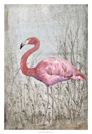 American Flamingo II by Timothy O&#39;Toole art print