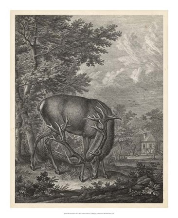 Woodland Deer IV by J. e. Ridinger art print
