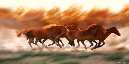 Blazing Herd II by David Drost art print