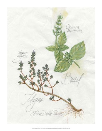 Basil &amp; Thyme by Elissa Della-Piana art print