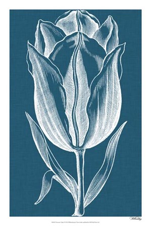 Chromatic Tulips I by Vision Studio art print