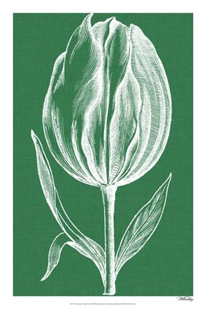 Chromatic Tulips II by Vision Studio art print