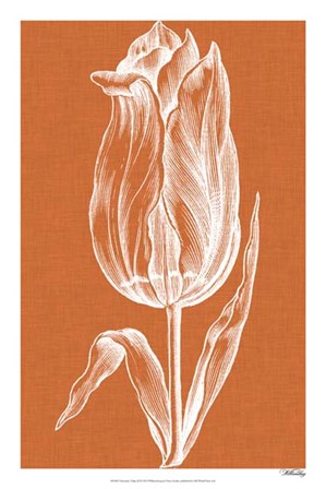 Chromatic Tulips III by Vision Studio art print