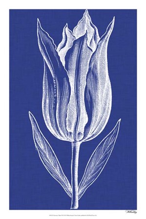 Chromatic Tulips VII by Vision Studio art print
