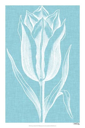 Chromatic Tulips IX by Vision Studio art print
