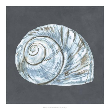 Shell on Slate VIII by Megan Meagher art print