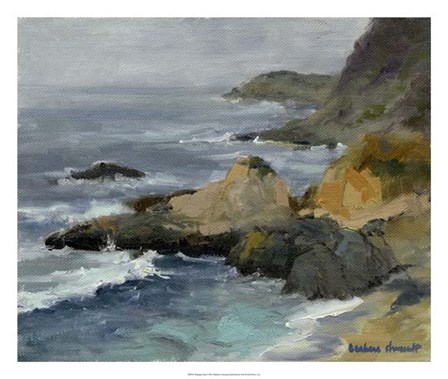 Bodega Head by Barbara Chenault art print