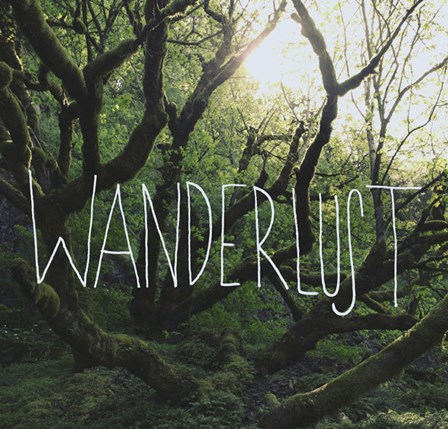 Wanderlust by Leah Flores art print