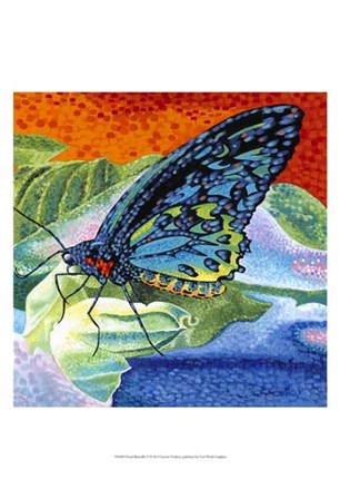Poised Butterfly II by Carolee Vitaletti art print