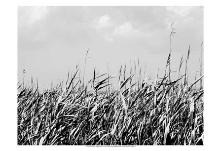 Dune Triptych II by Jeff Pica art print