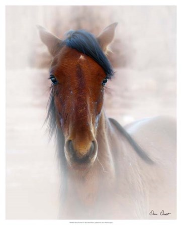 Horse Portrait I by David Drost art print