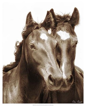 Horse Portrait III by David Drost art print