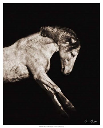 Horse Portrait IV by David Drost art print