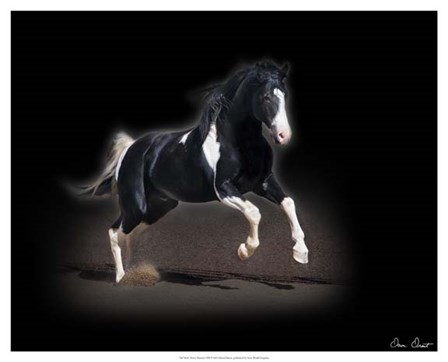 Horse Portrait VIII by David Drost art print