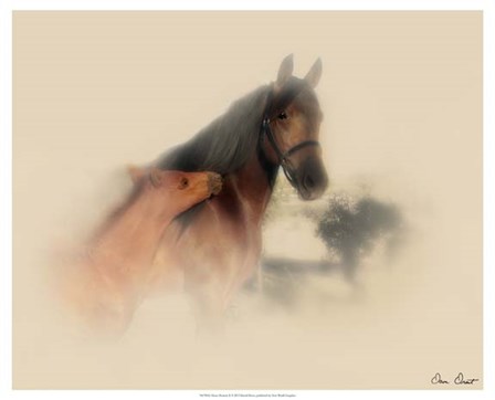 Horse Portrait X by David Drost art print