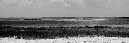Shore Panorama IV by Jeff Pica art print
