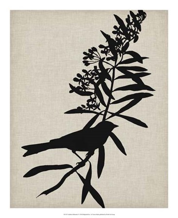 Audubon Silhouette I by Vision Studio art print