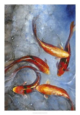 Graceful Koi I by Timothy O&#39;Toole art print