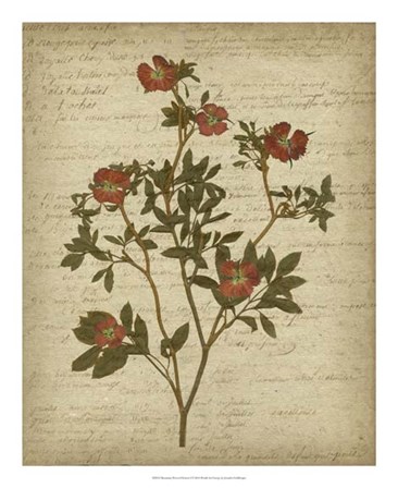 Romantic Pressed Flowers I by Jennifer Goldberger art print