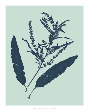 Indigo &amp; Mint Botanical Study IV by Vision Studio art print