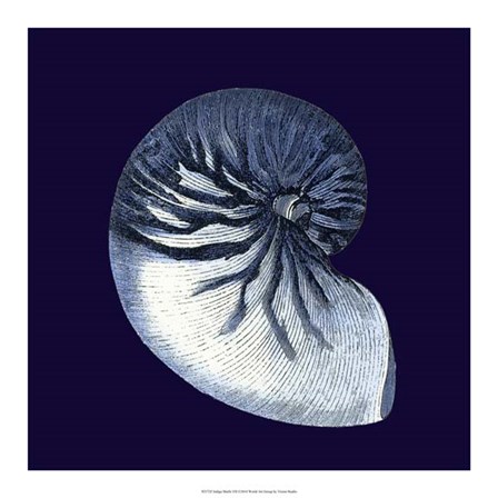 Indigo Shells VII by Vision Studio art print