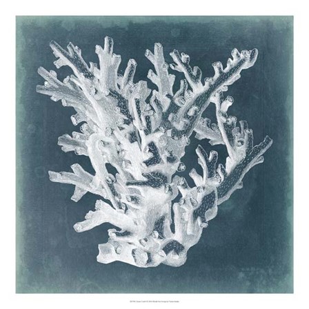 Azure Coral I by Vision Studio art print